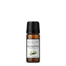 Eucalyptus Organic Essential Oil