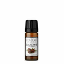 Scots Pine Organic Essential Oil
