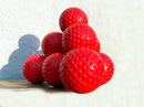 X12 R66T Academy Ball Launcher Balls