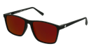 Vaquita - Polarised Mirror