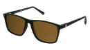 Vaquita - Polarised Mirror