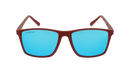 Vaquita - Polarised Mirror