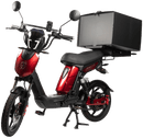 SX-250d Series III Electric Bike