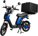 SX-250d Series III Electric Bike