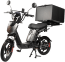 SX-250d Series III Electric Bike