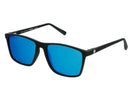 Vaquita - Polarised Mirror