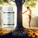 Lily and Loaf - Vitamin C High Strength 1,000mg – controlled release (90