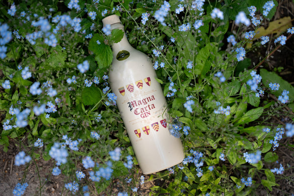 Magna Carta Gin