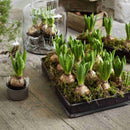 Recycled Vintage Tray