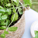 Hanging Seagrass Baskets