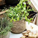 Hanging Seagrass Baskets