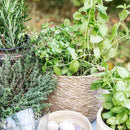 Hanging Seagrass Baskets