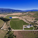 Peregrine Chardonnay 2019 Single