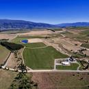 Peregrine Charcoal Creek Sweet Riesling 2017 (375ml) Case