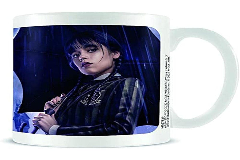 Wednesday Darkside Boxed 11 Oz Mug