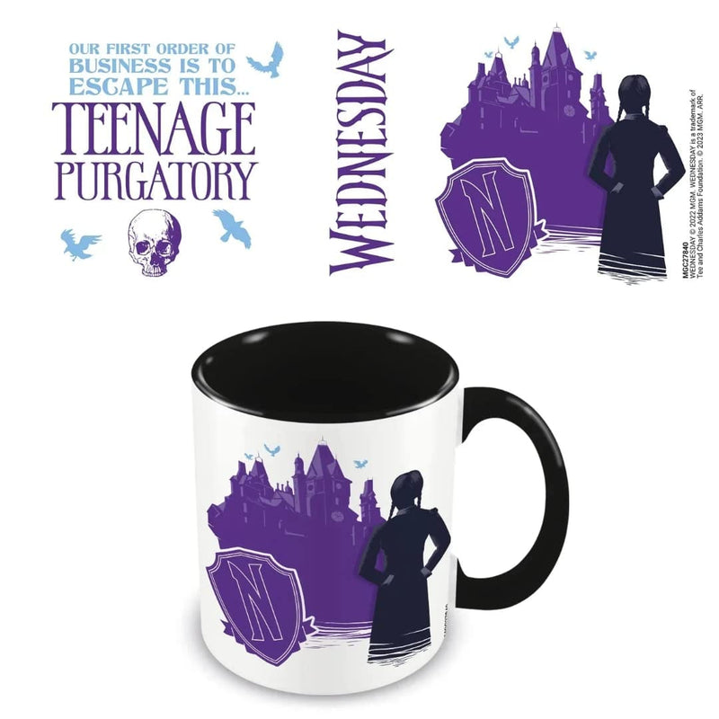 Wednesday Teenage Purgatory Black Inner Boxed 11 Oz Mug