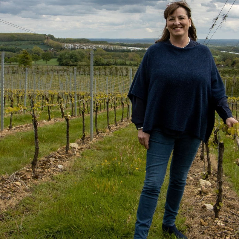 LiveLoveLaugh Pinot Gris 2021 Case