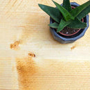 Rustic Metal Bracket Shelf | 22cm Depth