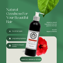 Olio Divina Hair Growth Ayurvedic Shampoo & Conditioner Set