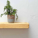 Rustic Floating Shelf | 15cm Depth