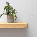 Rustic Floating Shelf | 15cm Depth