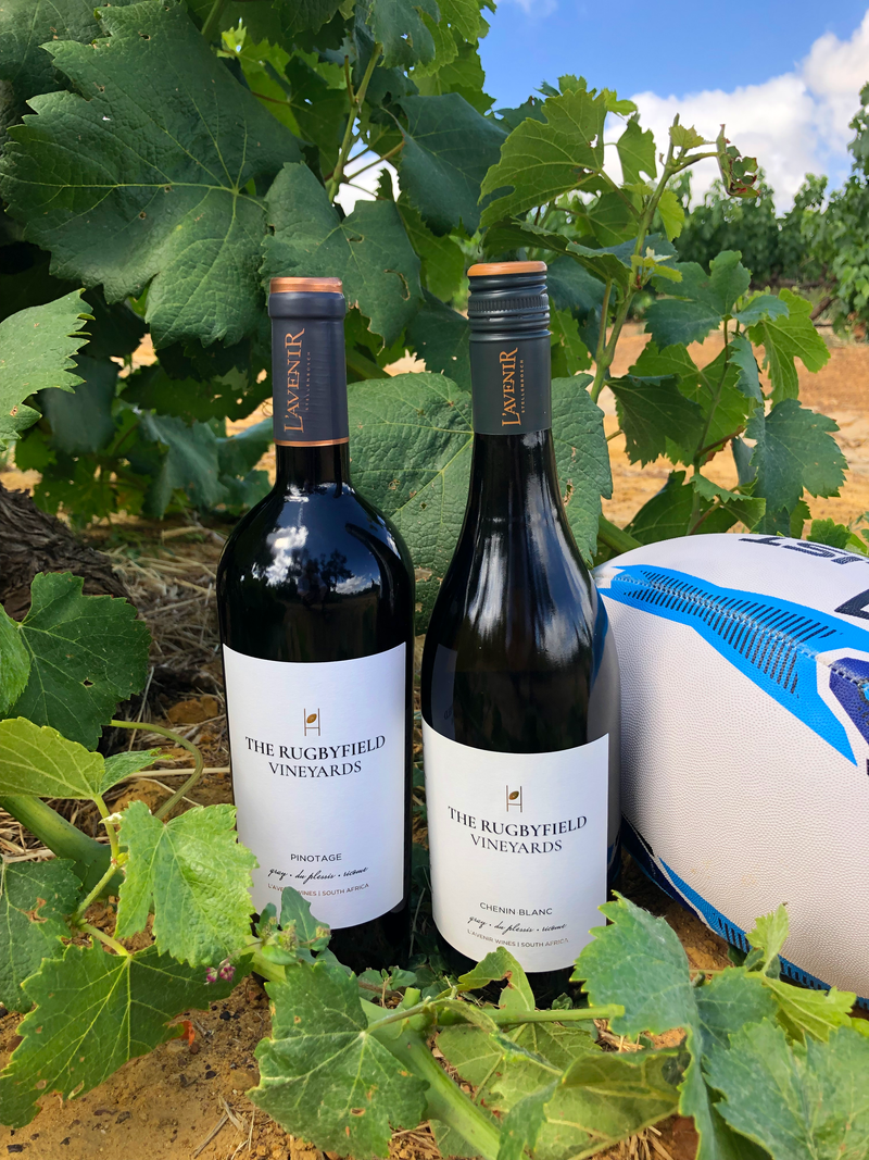 RUGBYFIELD VINEYARD PINOTAGE