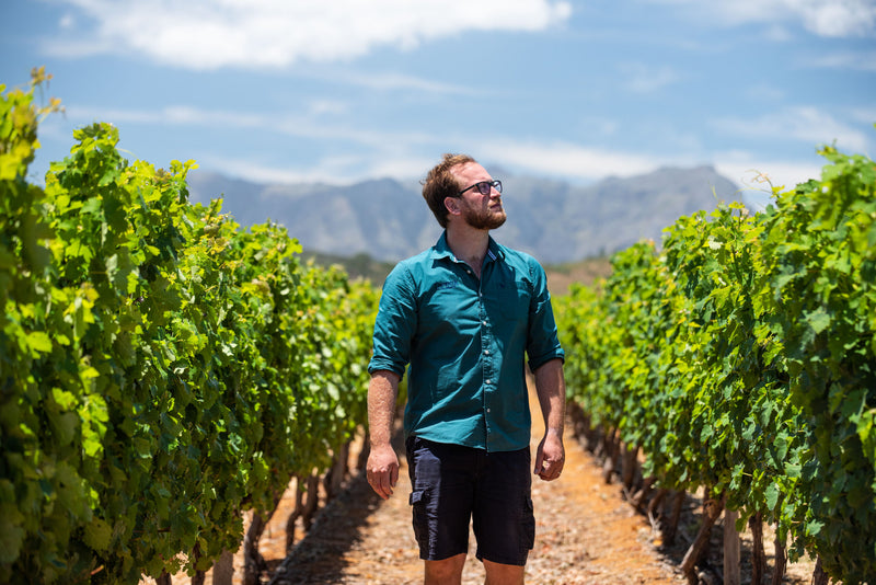 RUGBYFIELD VINEYARD PINOTAGE