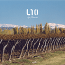 L10 Premium Malbec Case