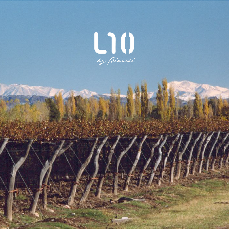 L10 Torrontes 2021