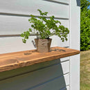 Thin Garden Floating Shelf | 22cm Depth