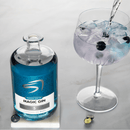 Louis 57 Magic Gin