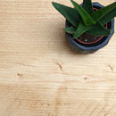 Rustic Floating Shelf | 15cm Depth