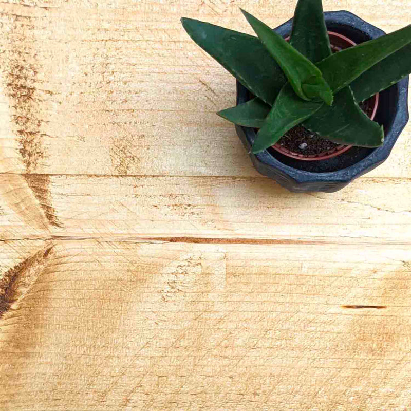 Reclaimed Floating Shelf | 22cm Depth
