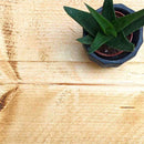 Rustic Thin Metal Bracket Shelf | 30cm Depth