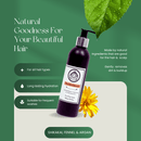 Olio Divina Hair Growth Ayurvedic Shampoo & Conditioner Set