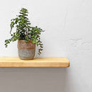 Rustic Thin Floating Shelf | 15cm Depth