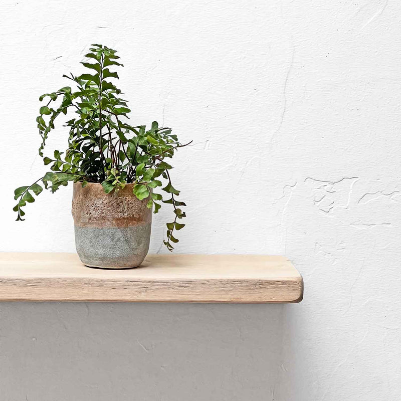Shabby Chic Thin Floating Shelf | 15cm Depth