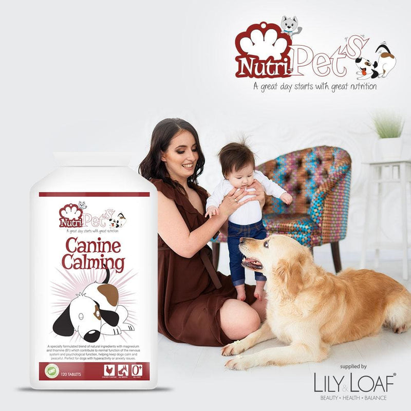 Canine Calming