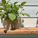 Thin Garden Floating Shelf | 22cm Depth