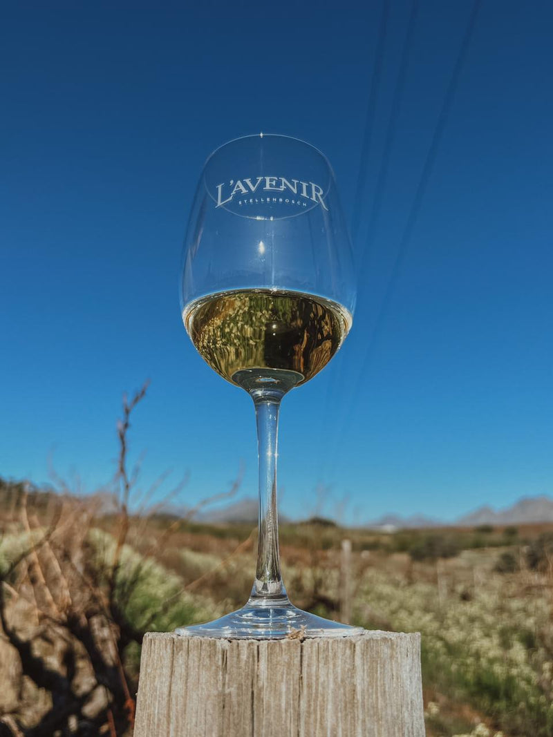 RUGBYFIELD VINEYARD PINOTAGE