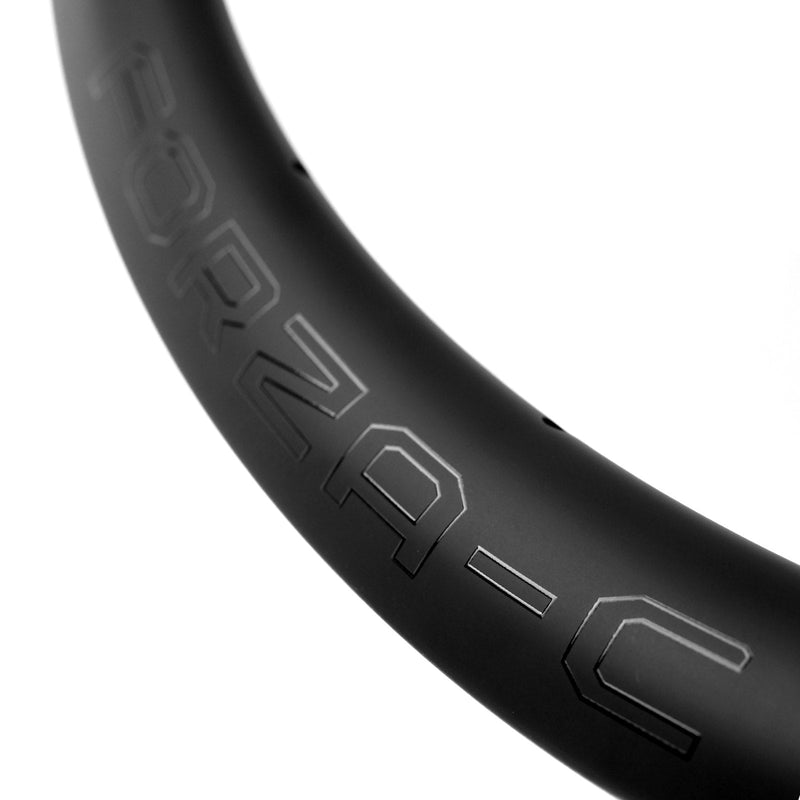 Forza-Carbon 30mm Disc Wheelset 700C