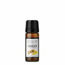 Ginger Organic Essential Oil