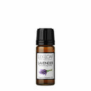 Lavender Organic Essential Oil