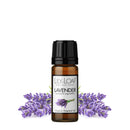 Lavender Organic Essential Oil