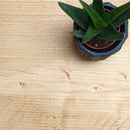 Rustic Thin Lipped Metal Bracket Shelf | 22cm Depth