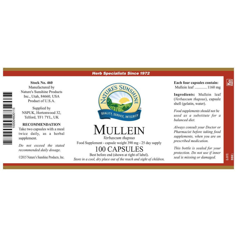 Mullein