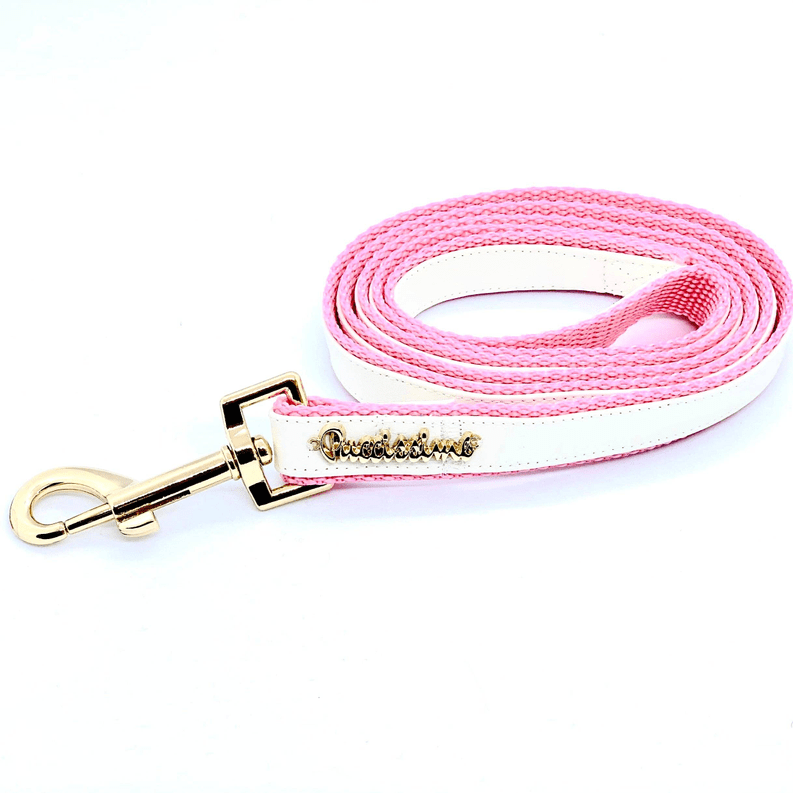 🐾 Adorable Bow Tie Dog Leash Set 🎀