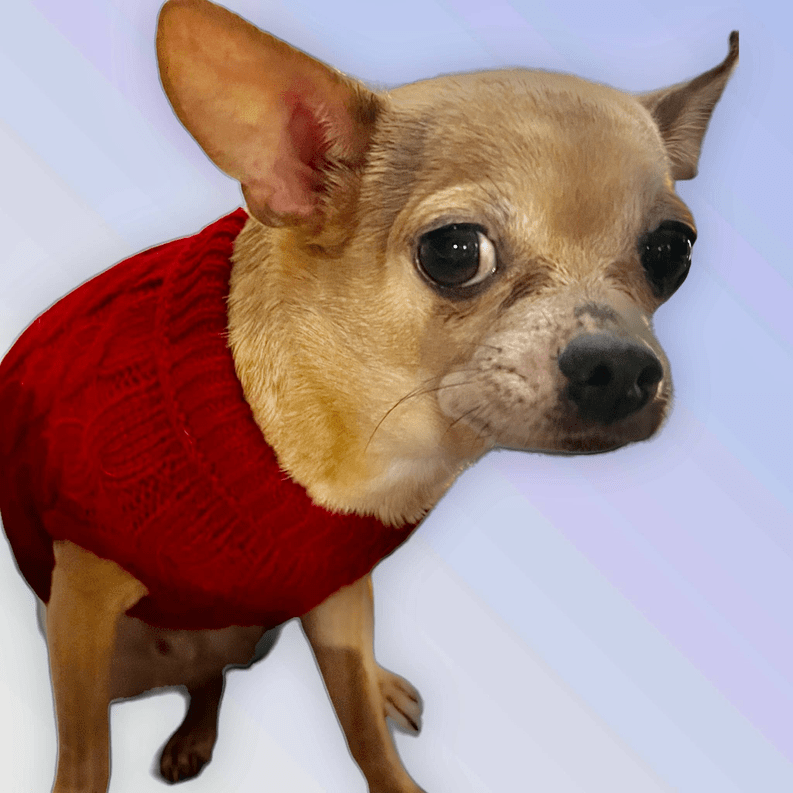 🐶 Cozy Knit Turtleneck Sweater for Dogs 🧶