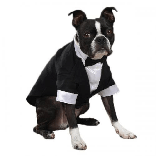 🐶 Posh Pup Wedding Tuxedo for Dogs 🎩
