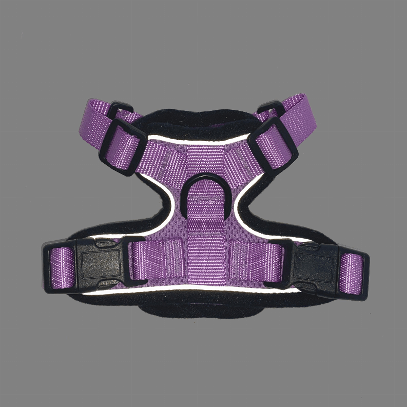 🐱 PurrTrek Reflective Cat Harness & Leash 🌈